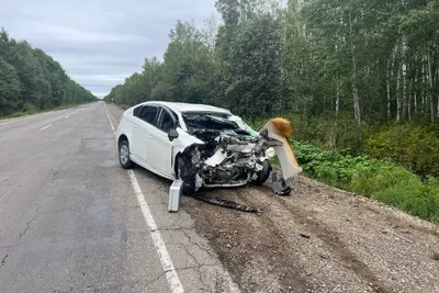 Хабаровск примерил на себя зимний наряд