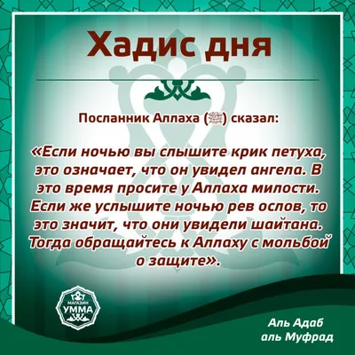 Хадисы Пророка Мухаммада (ﷺ). (@khadisy._) • Instagram photos and videos