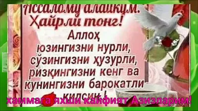 ХАЙРЛИ ТОНГ. Таскин берар меҳрингиз-ей... | Интересный контент в группе  Животные • Природа • Пейзажи • Путешествия