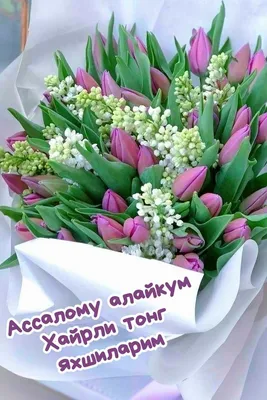 хайрли тонг мехрибоним💐💐💐🌷🌷🌷💐💐💐#🌸🌸🌸#хайрли_тонг #рекоменда... |  TikTok