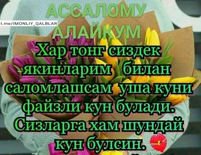 Идеи на тему «АССАЛОМУ АЛАЙКУМ! ХАЙИРЛИ ТОНГ!» (160) в 2024 г | тонга,  географическая деятельность, тюльпановый сад