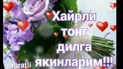 Хайрли тонг БЕГИМ❤ | TikTok