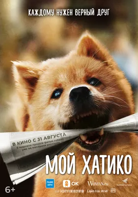 Hachiko (2023) - IMDb