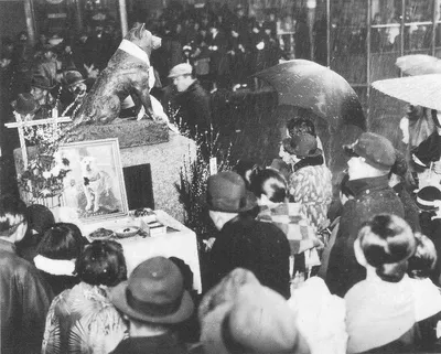 Статуя Hachiko мемориальная в Shibuya, токио Редакционное Стоковое Фото -  изображение насчитывающей художничества, собака: 112721318