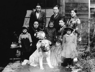 HACHIKO, 2023. © iQIYI Pictures / Courtesy Everett Collection Stock Photo -  Alamy