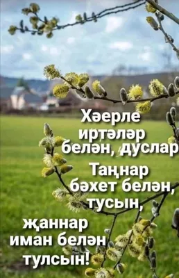 Пин от пользователя Ляйсан Гареева на доске Быстрое сохранение | Открытки,  Смешные открытки, Утренние сообщения