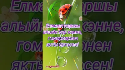 Татары и Татарочки - Хәерле иртә, кадерле дуслар! Good morning, dear  friends! | Facebook