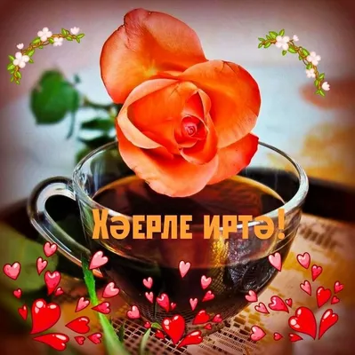 Татары и Татарочки - Хәерле иртә, кадерле дуслар! Good morning, dear  friends! | Facebook