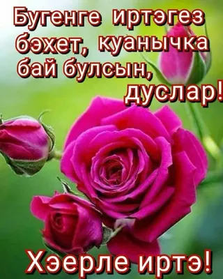 ☕🍰🌷🌷🌷Хэерле иртэ Дуслар!!! 🥰🕊 - YouTube