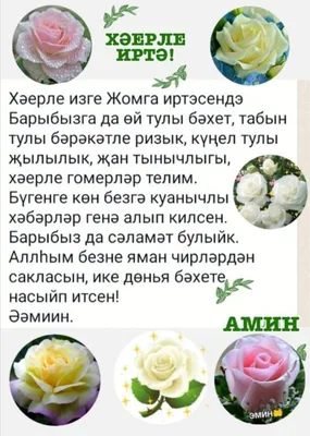 💐Хэерле коннэр Дуслар👋 Буген минем иртэм бик кутэренке кэеф бн башланды,  аллага шокер 🙏 Чонки бездэ буген #зарплата коне😇 Ул конне без бот… |  Instagram