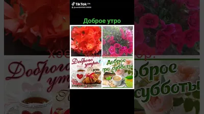 хэерле иртэ унышлы коннэр｜TikTok Search