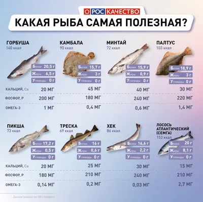 МИНТАЙ И ХЕК: СХОДСТВА И РАЗЛИЧИЯ - Easyfish