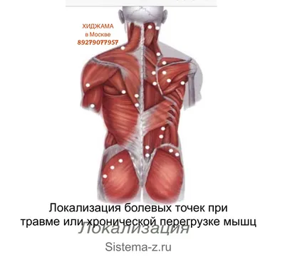 🏆 Центр восточной медицины Хиджама: цены на услуги, запись и отзывы на  Stilistic.ru