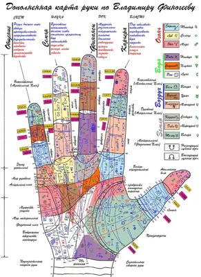 хиромантия бесплатная таблица с разъяснениями фото: 6 тыс изображений  найдено в Яндекс.Картинках | Хиромантия, Карта, Астрология