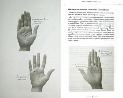 Хиромантия линии на руке расшифровка с фото