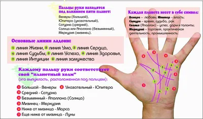 фото линий на руке и их значение | Хиромантия, Руки, Линия