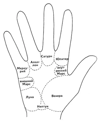 Как гадать - гадание по руке по фото онлайн бесплатно? Линия жизни на р |  Заговоры, молитвы, заклинания | Постила