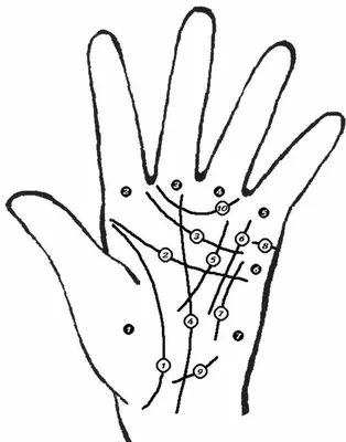 Хиромантия. Линия брака на руке: где находится, расшифровка