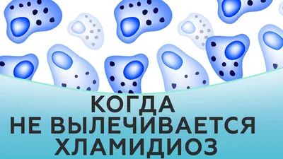 Симптомы хламидиоза: как проявляется хламидиоз у мужчин и женщин