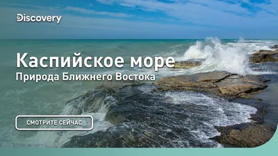 Мертвое море - отдых, фото и описание