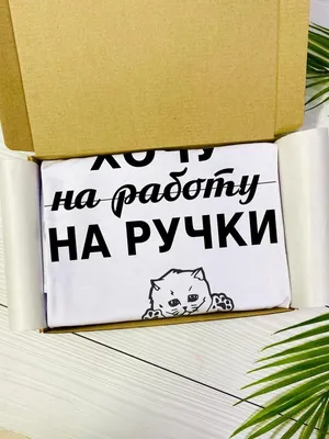 Котенок - хочу на ручки