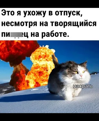 Юмор online - Только—только жизнь наладилась, вдруг бац! — отпуск кончился  😅 | Facebook