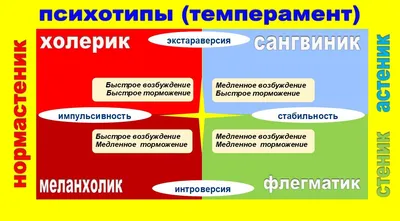 Как разные типы людей могут помогать и/или мешать эффективному развитию  вашей компании