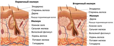 Клиника Ниармедик Алтуфьево | Moscow