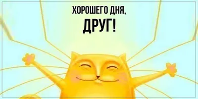 Картинки \"С Добрым Утром! Хорошего дня!\" (355 шт.)