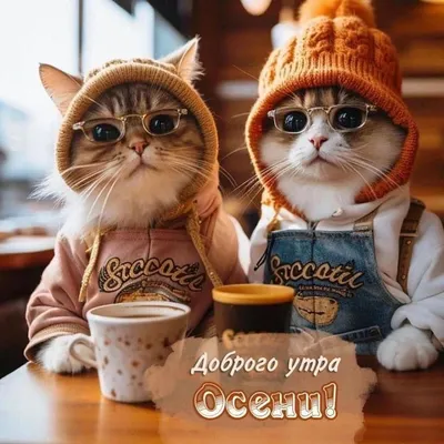 💌☀️😄 Картинки Хорошего дня - скачать (226 шт.)