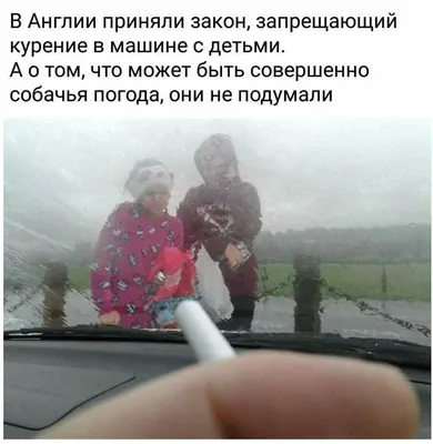 ДОБРОЕ УТРО, ДОБРОГО ДНЯ ДОРОГИЕ... - Позитив Юмора и Природы | Facebook