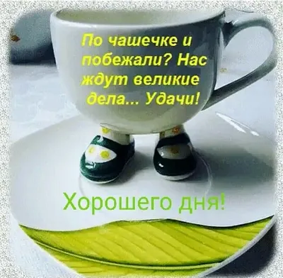 Предлагаю начать последнюю неделю этого года с юмором 🤪 Хорошего дня и  легкой недели ✌🏼 #работа #карьера #собеседование #резюме… | Instagram