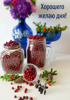 Пожелания хорошего дня в картинках, своими словами, в стихах, в смс и  христианские пожелания доброго дня — Украина