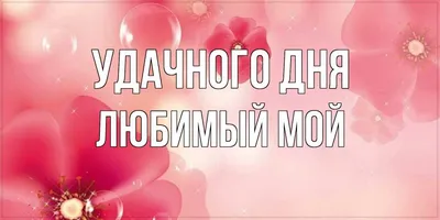 Мем: \"Доброе утро любимый 🥰 Ты мое солнышко❤️ Ты моя радость 😍 Хорошего  дня мой мальчик 💋💋💋💋💋 ❤️Люблю тебя котик мой ❤️\" - Все шаблоны -  Meme-arsenal.com