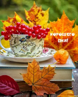 Хорошего дня осень картинки