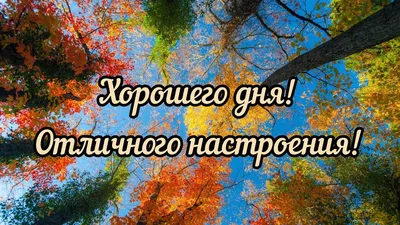 Стоматология Профи-Дент - Доброе утро, Друзья! Хорошего всем дня и  прекрасного настроения! УЛЫБАЙТЕСЬ!🤗 | Facebook