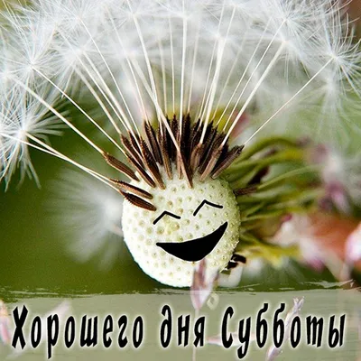 Всем доброго субботнего дня, хорошего настроения, всего самого доброго и  хорошего!