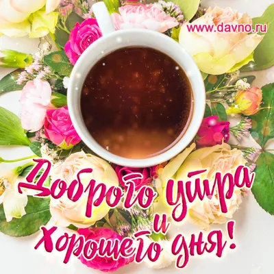 Всем доброго и хорошего субботнего дня! | Instagram