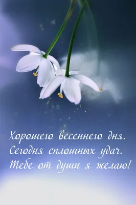 Пожелания хорошего дня в картинках, своими словами, в стихах, в смс и  христианские пожелания доброго дня — Украина