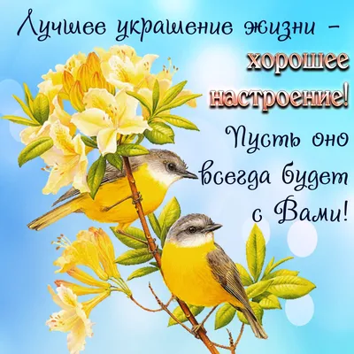 Картинки с надписями. Хорошего весеннего дня. Сегодня сплошных удач.