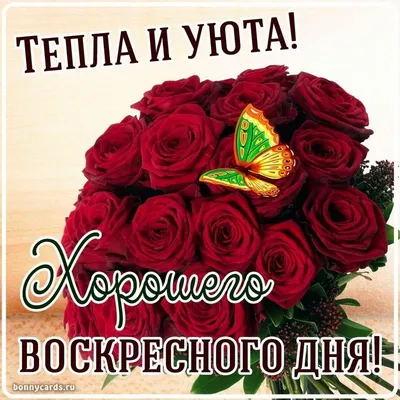 Картинка хорошего воскресного дня - GreetCard.ru