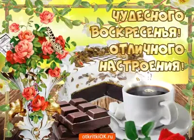 Хорошего воскресного дня! Ваш Ormatek🧡 Напоминаем Вам наши номера, на  которые можно позвонить и уточнить интересующую Вас информацию по … |  Instagram