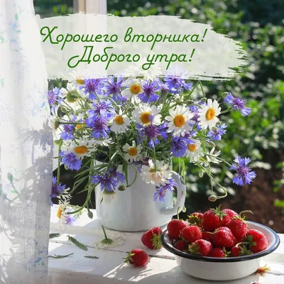 Доброе утро! Хорошего вторника 🌸 | Открытки Тедди | ВКонтакте