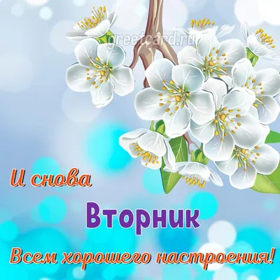 Открытки \"Доброго утра!\" во вторник (100+)