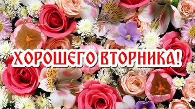 Картинки хорошего вторника и отличного настроения (41 фото) » Юмор, позитив  и много смешных картинок