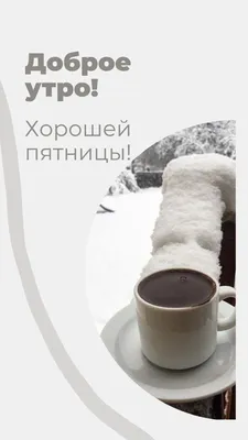 Привет Друзья, я снова с вами. Хорошей пятницы. | Наталья Бусырева | Дзен