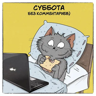 Картинки хорошей субботы, скачать бесплатно