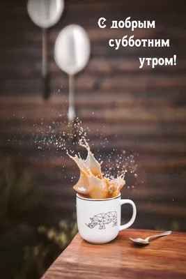 Доброе апрельское утро!#Хорошей мирной субботы! | TikTok