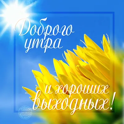 Хороших выходных🌸🙏 | Открытки Тедди | ВКонтакте