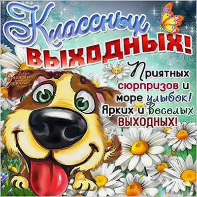 Красивые, прикольные анимационные картинки на выходные. | Открытки,  Картинки, С днем рождения